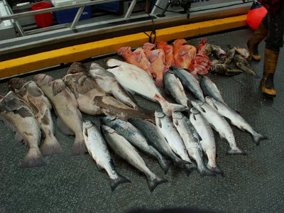 Terrace - Rupert Fishing 2007